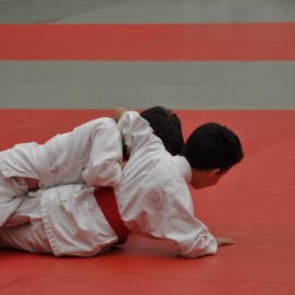 DSC 0486  Small - Judoclub Zaventem 